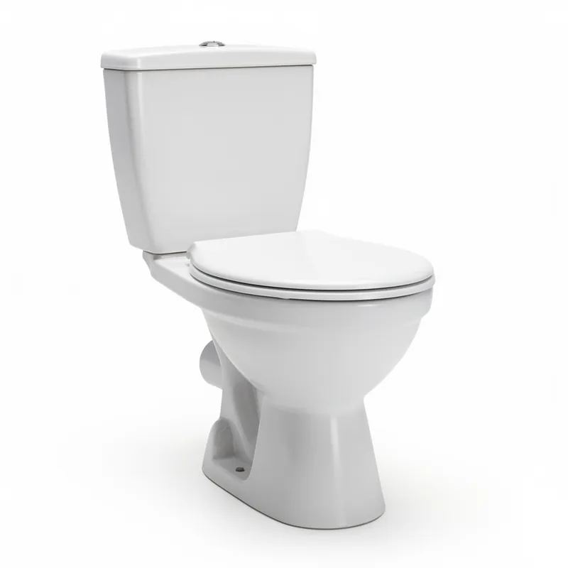 Remplacement de WC Paris20